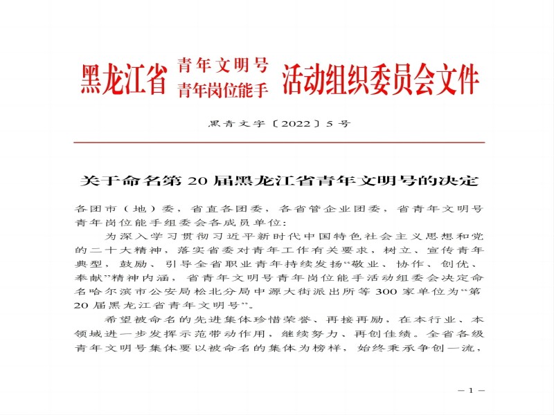 喜報(bào)！水利水電集團(tuán)二公司第一項(xiàng)目部 榮獲“第20屆黑龍江省青年文明號”